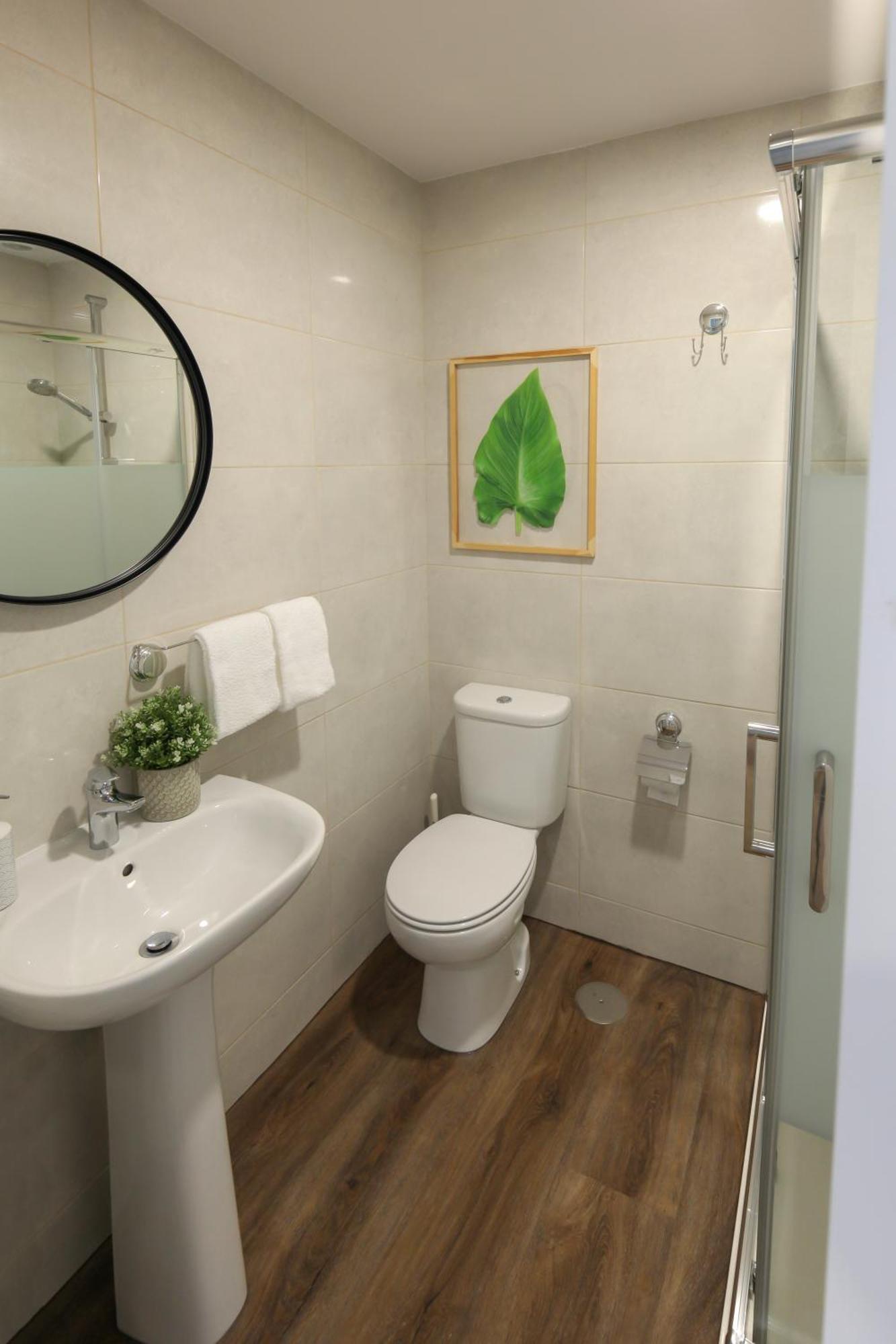 Modern With Garden *